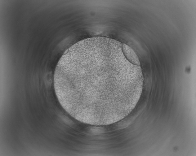 X0000116480085201001201351