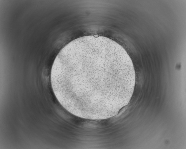 X0000116480086201001201351