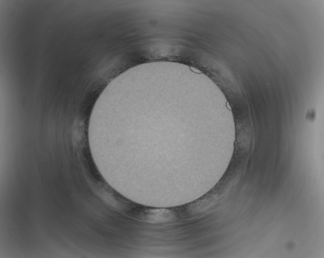 X0000116480087201001201351