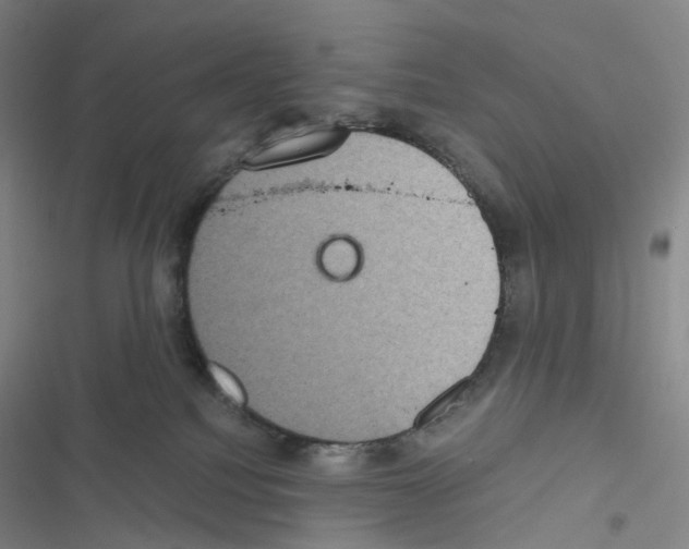 X0000116480088201001201351