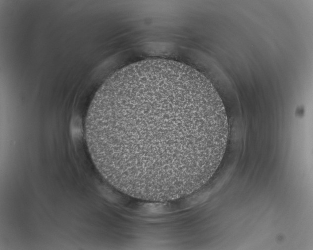 X0000116480089201001201351