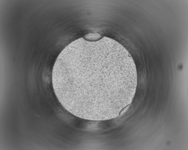 X0000116480090201001201351