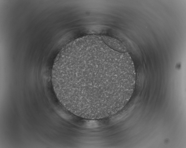 X0000116480091201001201351