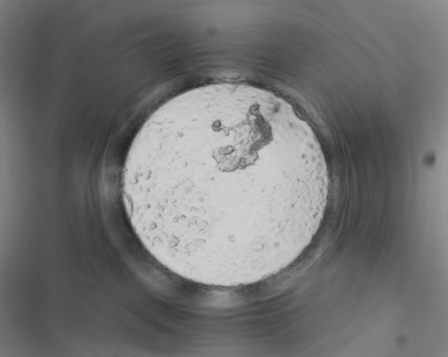 X0000116480093201001201351