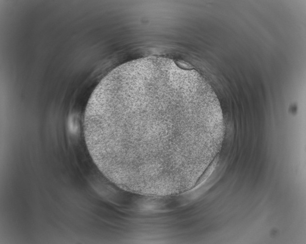 X0000116480094201001201351