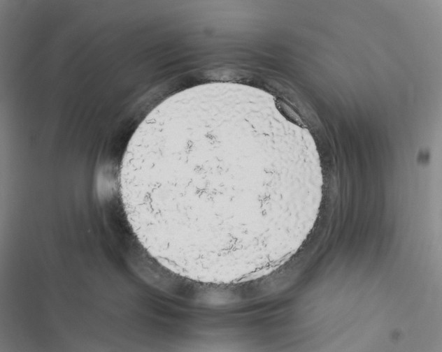 X0000116480095201001201351
