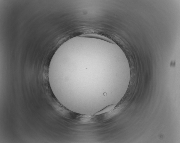 X0000116480096201001201351