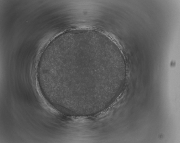 X0000116480097201001201351