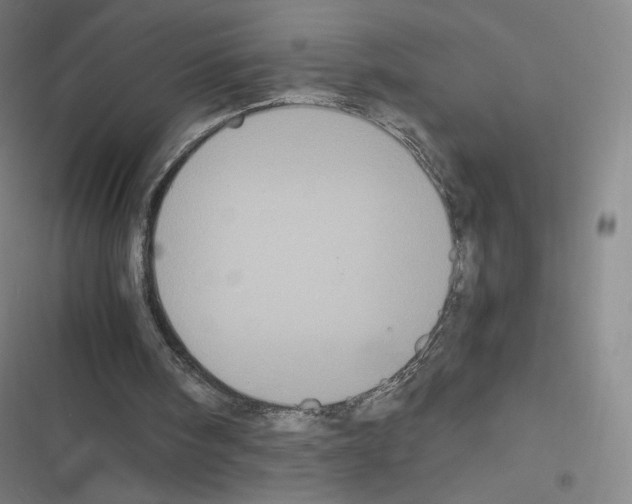 X0000116480098201001201351