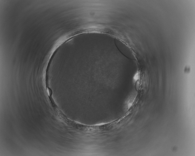 X0000116480099201001201351