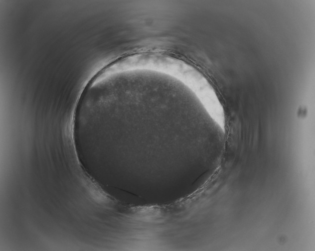 X0000116480100201001201351