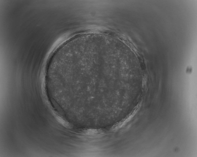 X0000116480101201001201351