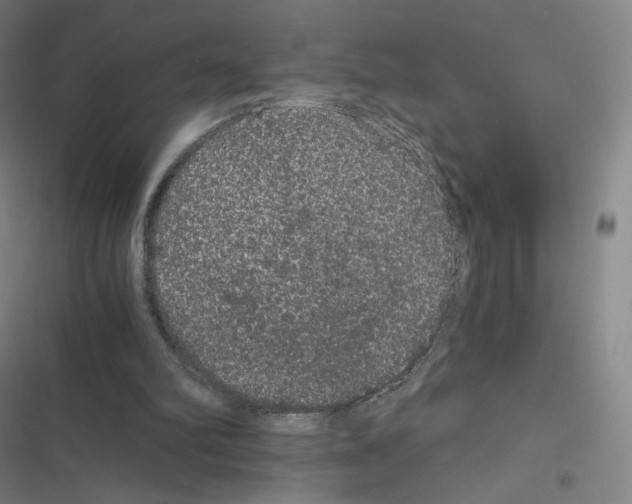 X0000116480102201001201350