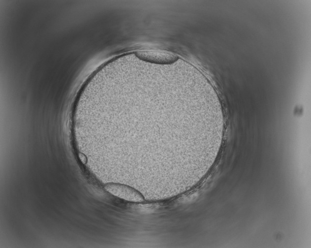 X0000116480103201001201350