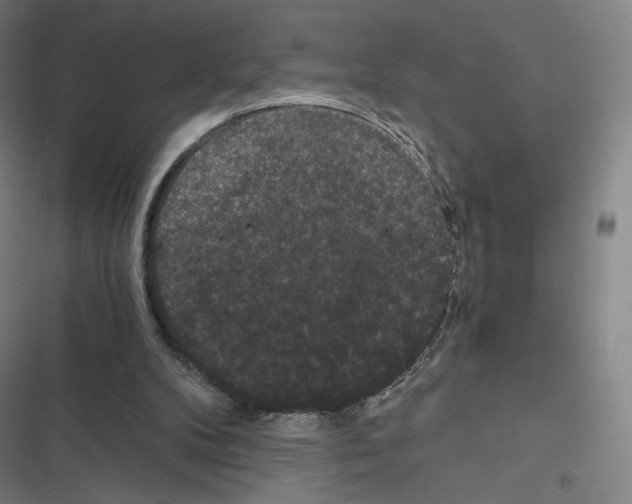 X0000116480104201001201350