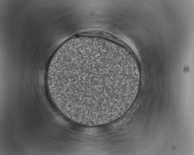 X0000116480105201001201350