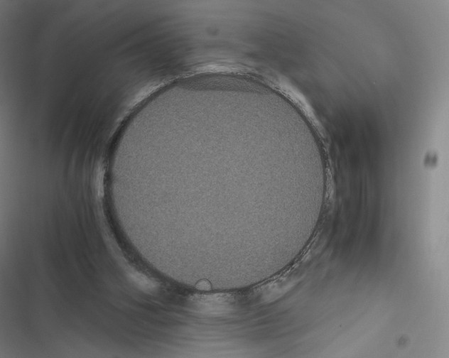 X0000116480106201001201350