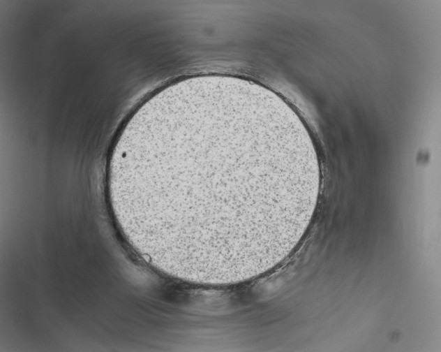 X0000116480107201001201350
