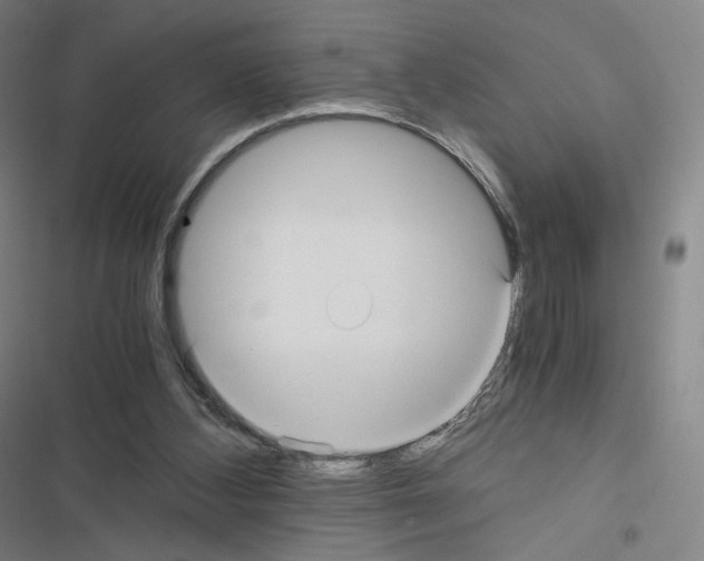 X0000116480108201001201350