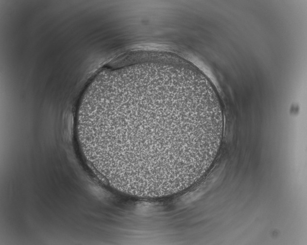 X0000116480109201001201350