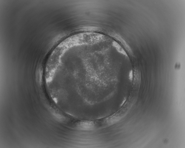 X0000116480110201001201350
