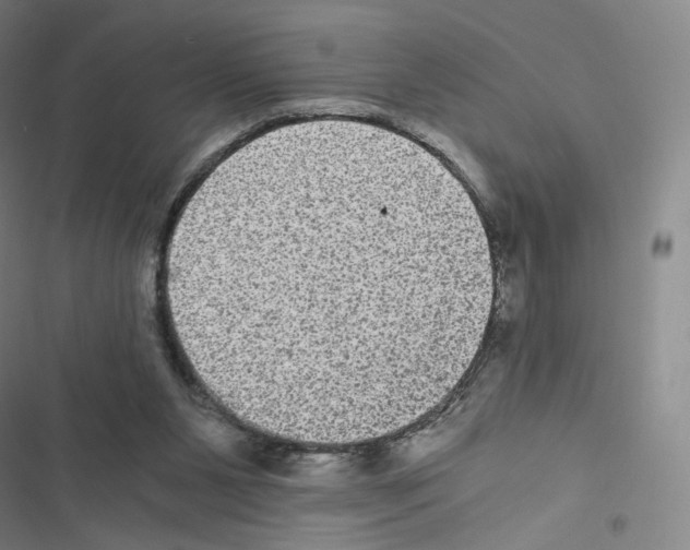 X0000116480111201001201350