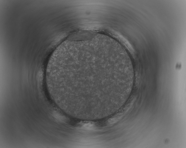 X0000116480113201001201350