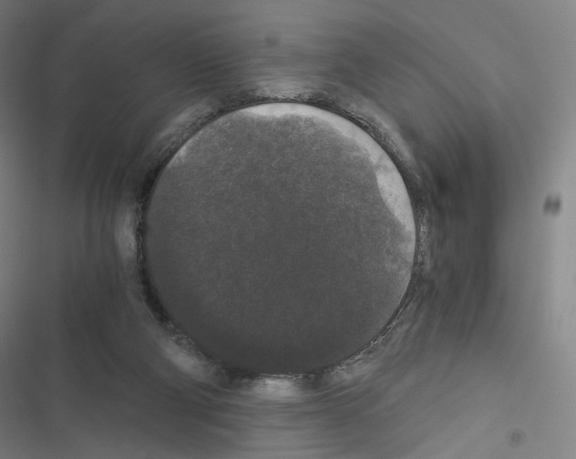 X0000116480114201001201350