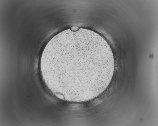 X0000116480115201001201350