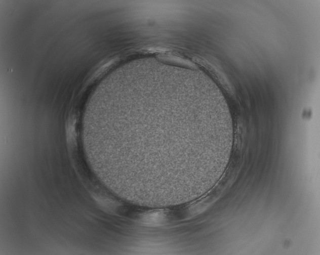 X0000116480116201001201350