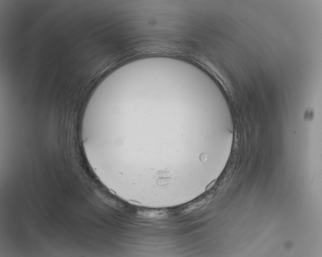 X0000116480117201001201350