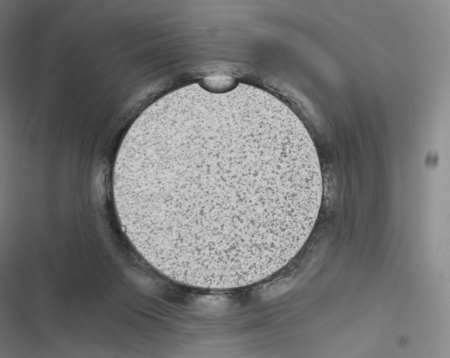 X0000116480119201001201350