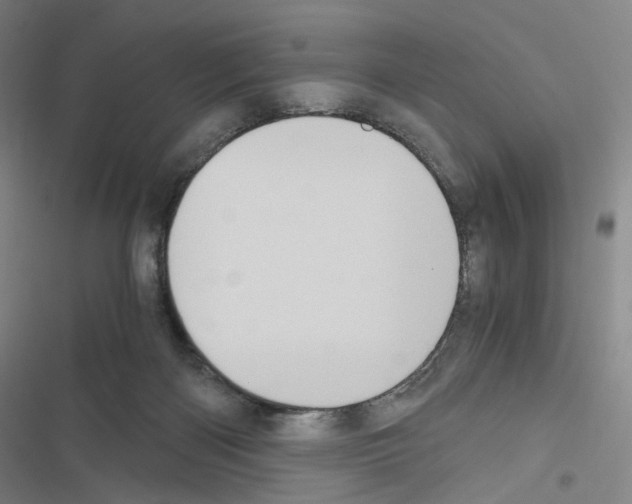 X0000116480122201001201350
