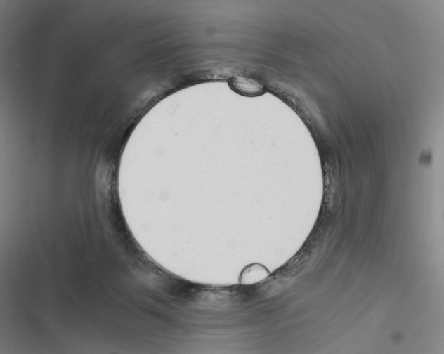 X0000116480123201001201350