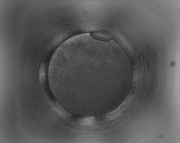 X0000116480124201001201350