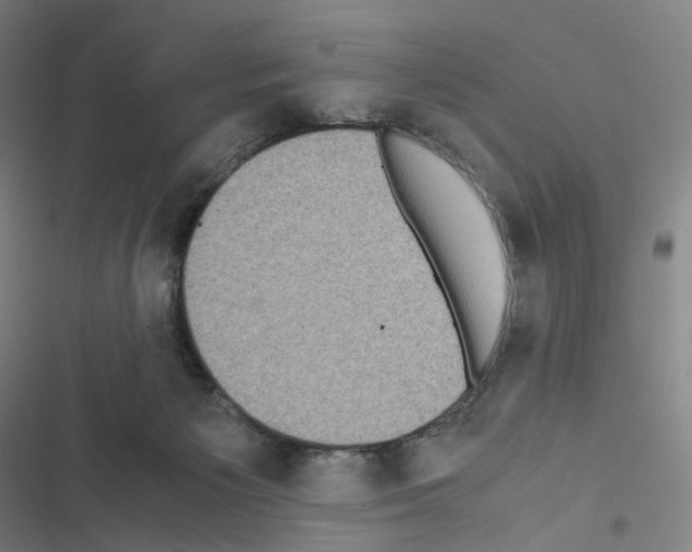 X0000116480125201001201350
