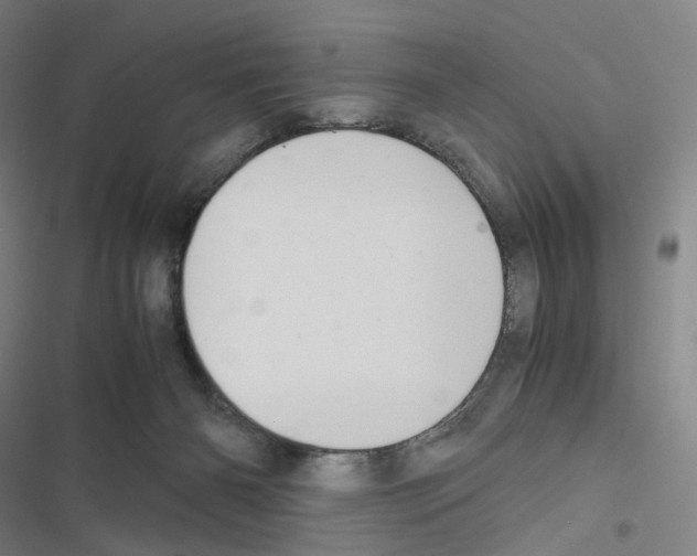 X0000116480126201001201350