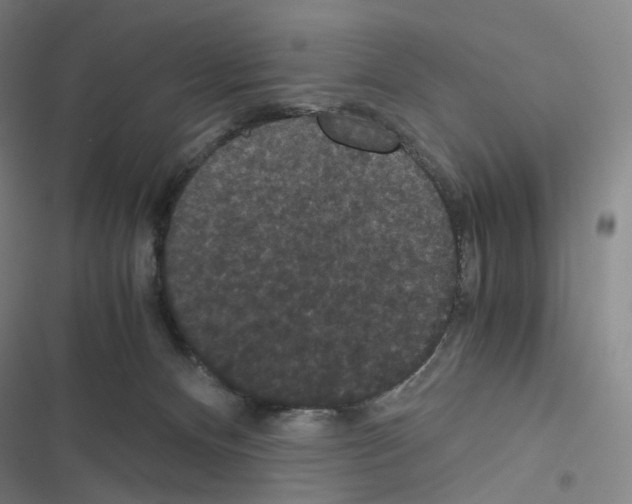 X0000116480128201001201350