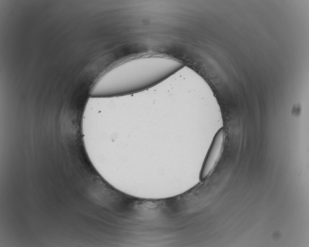X0000116480129201001201350