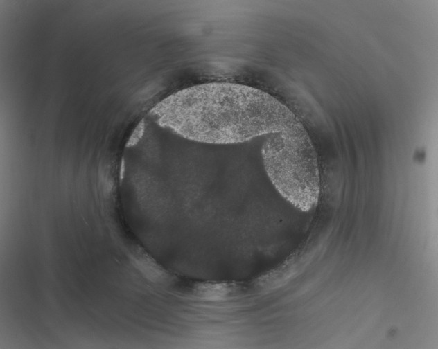 X0000116480131201001201350
