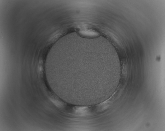 X0000116480132201001201350