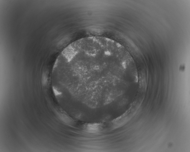 X0000116480134201001201350