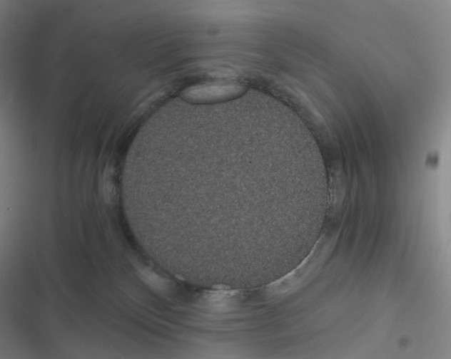 X0000116480136201001201350