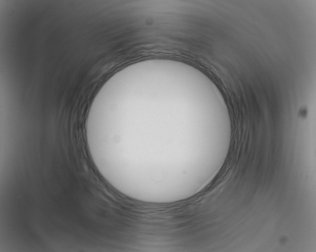 X0000116480137201001201350