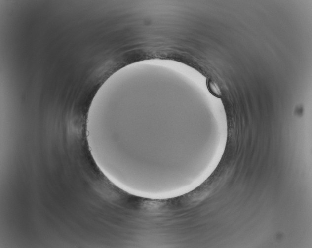 X0000116480139201001201350