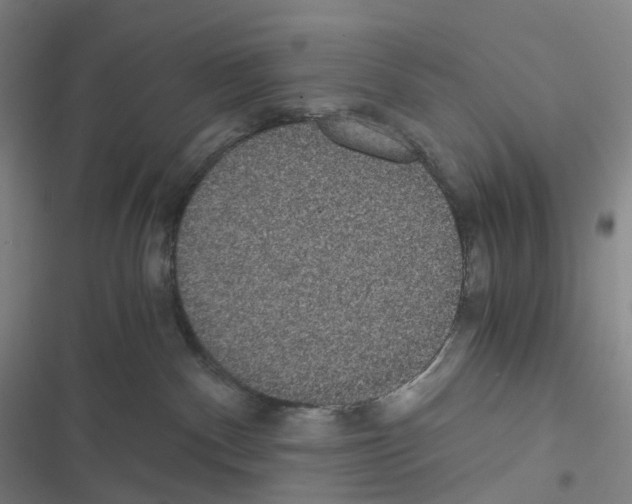 X0000116480140201001201350