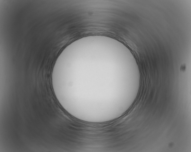 X0000116480141201001201350
