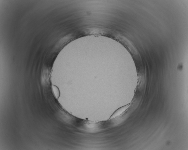 X0000116480142201001201350