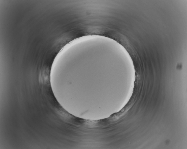 X0000116480143201001201350