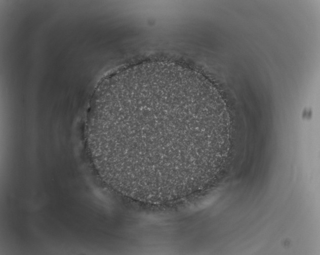 X0000116480144201001201350